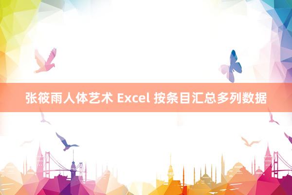 张筱雨人体艺术 Excel 按条目汇总多列数据