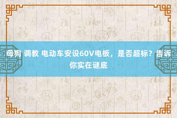 母狗 调教 电动车安设60V电板，是否超标？告诉你实在谜底