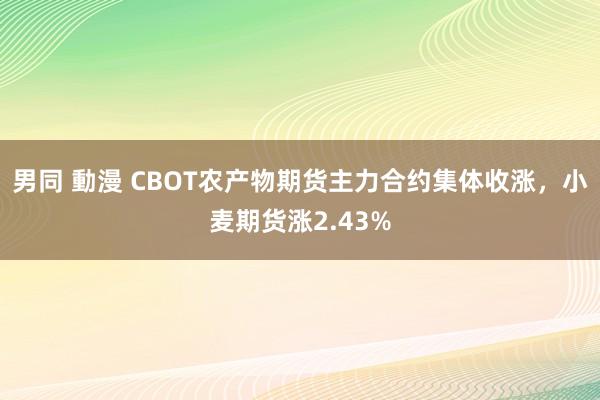 男同 動漫 CBOT农产物期货主力合约集体收涨，小麦期货涨2.43%