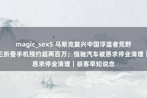 magic_sex5 马斯克复兴中国浮滥者荒野特斯拉；华为三折叠手机预约超两百万；恒驰汽车被恳求停业清理｜极客早知说念