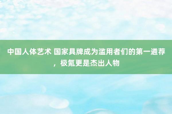 中国人体艺术 国家具牌成为滥用者们的第一遴荐，极氪更是杰出人物