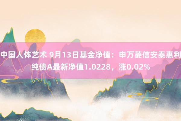 中国人体艺术 9月13日基金净值：申万菱信安泰惠利纯债A最新净值1.0228，涨0.02%