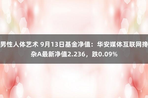 男性人体艺术 9月13日基金净值：华安媒体互联网搀杂A最新净值2.236，跌0.09%