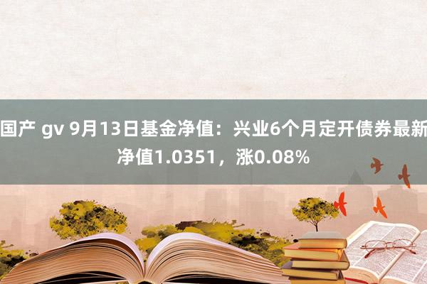 国产 gv 9月13日基金净值：兴业6个月定开债券最新净值1.0351，涨0.08%