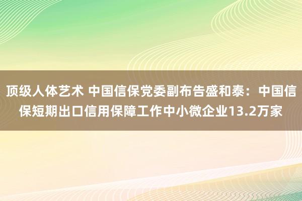 顶级人体艺术 中国信保党委副布告盛和泰：中国信保短期出口信用保障工作中小微企业13.2万家