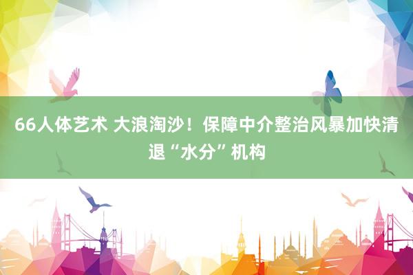 66人体艺术 大浪淘沙！保障中介整治风暴加快清退“水分”机构