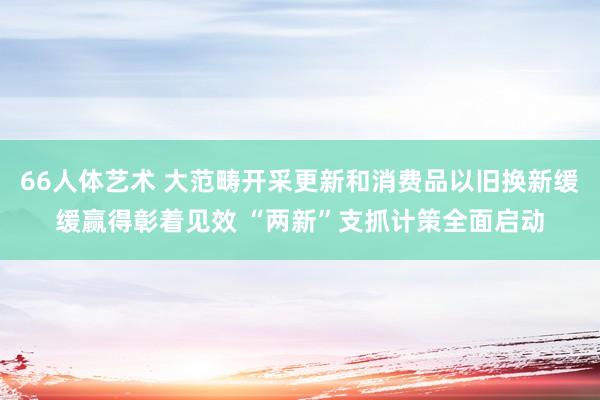 66人体艺术 大范畴开采更新和消费品以旧换新缓缓赢得彰着见效 “两新”支抓计策全面启动