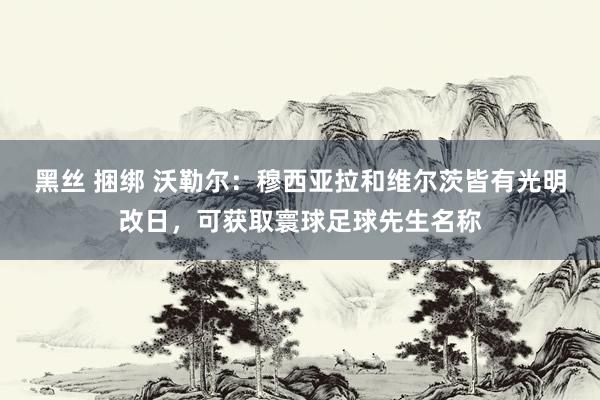 黑丝 捆绑 沃勒尔：穆西亚拉和维尔茨皆有光明改日，可获取寰球足球先生名称