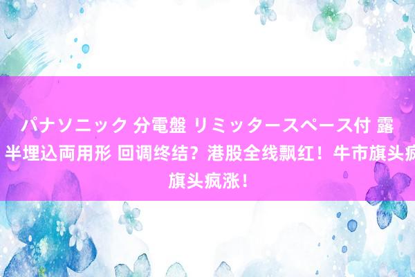 パナソニック 分電盤 リミッタースペース付 露出・半埋込両用形 回调终结？港股全线飘红！牛市旗头疯涨！