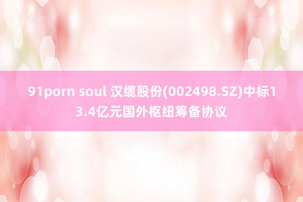 91porn soul 汉缆股份(002498.SZ)中标13.4亿元国外枢纽筹备协议