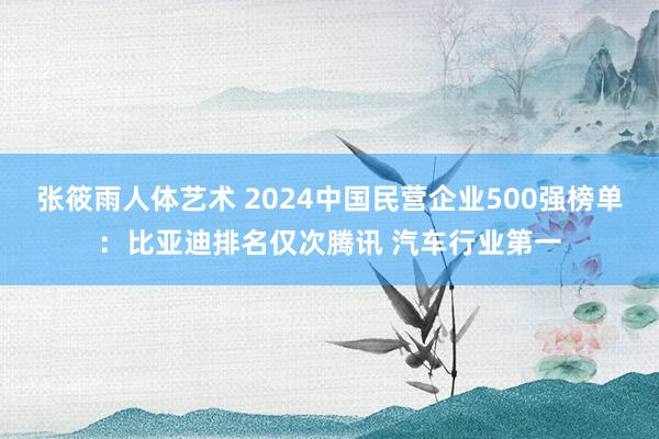 张筱雨人体艺术 2024中国民营企业500强榜单：比亚迪排名仅次腾讯 汽车行业第一