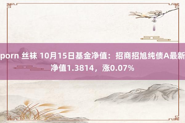 porn 丝袜 10月15日基金净值：招商招旭纯债A最新净值1.3814，涨0.07%