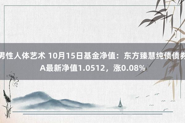 男性人体艺术 10月15日基金净值：东方臻慧纯债债券A最新净值1.0512，涨0.08%