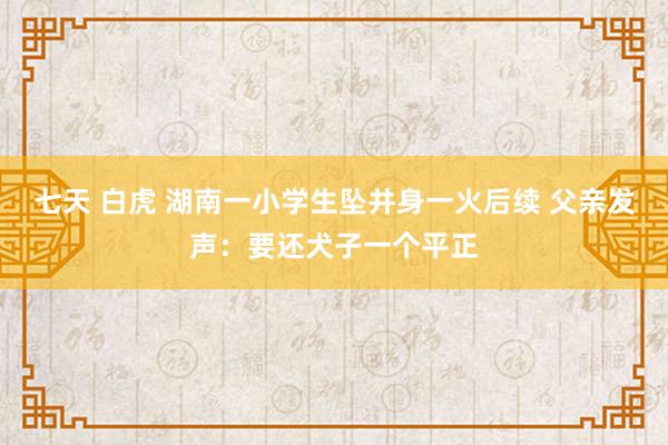 七天 白虎 湖南一小学生坠井身一火后续 父亲发声：要还犬子一个平正