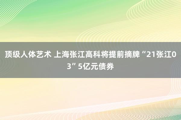 顶级人体艺术 上海张江高科将提前摘牌“21张江03”5亿元债券