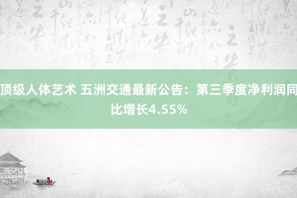 顶级人体艺术 五洲交通最新公告：第三季度净利润同比增长4.55%