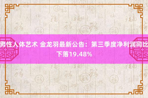 男性人体艺术 金龙羽最新公告：第三季度净利润同比下落19.48%