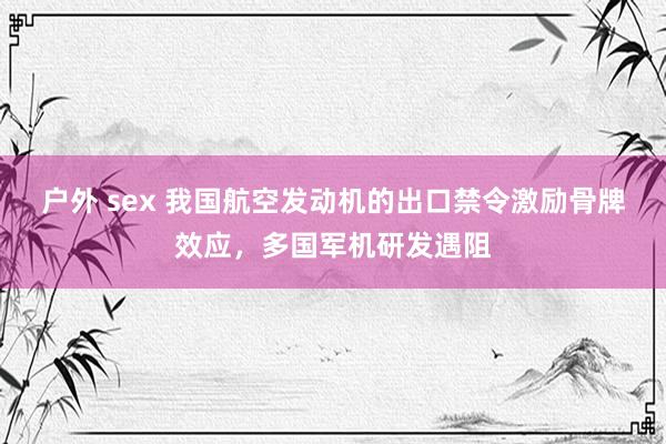 户外 sex 我国航空发动机的出口禁令激励骨牌效应，多国军机研发遇阻