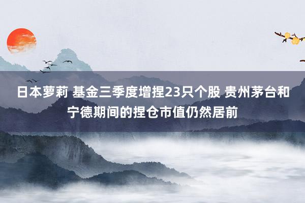 日本萝莉 基金三季度增捏23只个股 贵州茅台和宁德期间的捏仓市值仍然居前