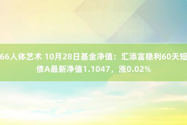 66人体艺术 10月28日基金净值：汇添富稳利60天短债A最新净值1.1047，涨0.02%