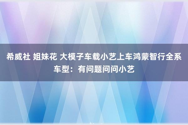 希威社 姐妹花 大模子车载小艺上车鸿蒙智行全系车型：有问题问问小艺