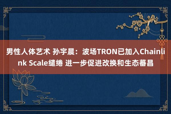 男性人体艺术 孙宇晨：波场TRON已加入Chainlink Scale缱绻 进一步促进改换和生态蕃昌