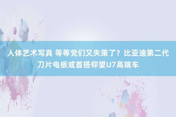 人体艺术写真 等等党们又失策了？比亚迪第二代刀片电板或首搭仰望U7高端车