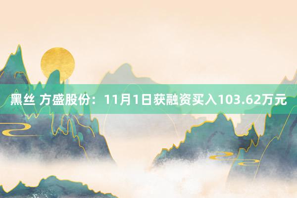 黑丝 方盛股份：11月1日获融资买入103.62万元