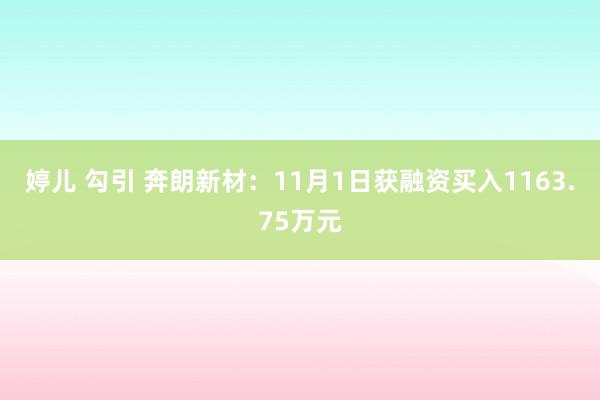 婷儿 勾引 奔朗新材：11月1日获融资买入1163.75万元