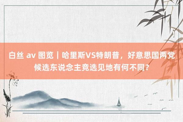 白丝 av 图览｜哈里斯VS特朗普，好意思国两党候选东说念主竞选见地有何不同？