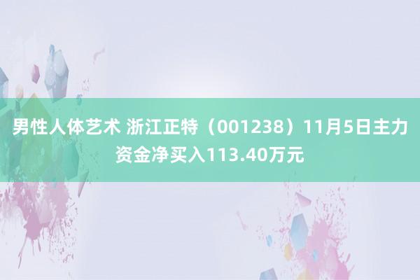 男性人体艺术 浙江正特（001238）11月5日主力资金净买入113.40万元