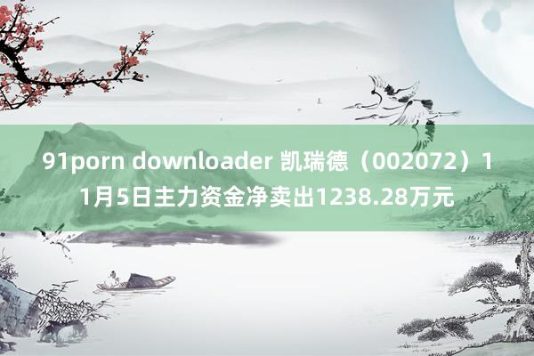 91porn downloader 凯瑞德（002072）11月5日主力资金净卖出1238.28万元