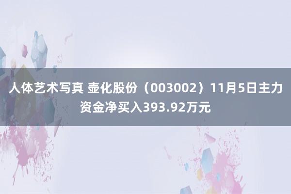 人体艺术写真 壶化股份（003002）11月5日主力资金净买入393.92万元