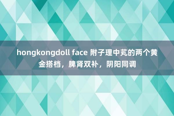 hongkongdoll face 附子理中芄的两个黄金搭档，脾肾双补，阴阳同调