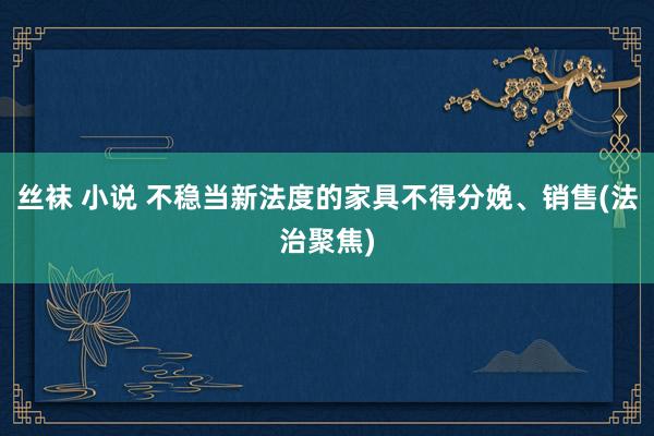 丝袜 小说 不稳当新法度的家具不得分娩、销售(法治聚焦)