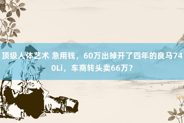 顶级人体艺术 急用钱，60万出掉开了四年的良马740Li，车商转头卖66万？