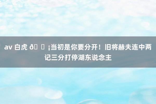 av 白虎 😡当初是你要分开！旧将赫夫连中两记三分打停湖东说念主