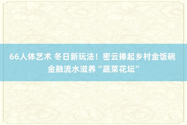 66人体艺术 冬日新玩法！密云捧起乡村金饭碗 金融流水滋养“蔬菜花坛”