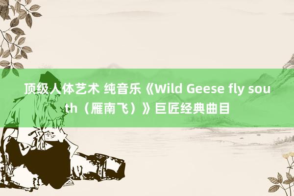 顶级人体艺术 纯音乐《Wild Geese fly south（雁南飞）》巨匠经典曲目