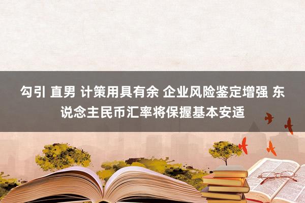 勾引 直男 计策用具有余 企业风险鉴定增强 东说念主民币汇率将保握基本安适