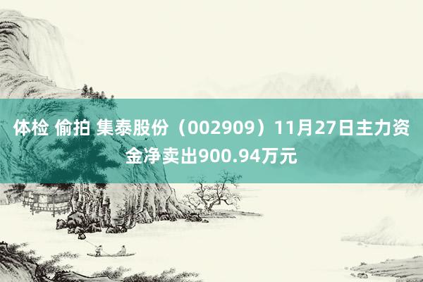 体检 偷拍 集泰股份（002909）11月27日主力资金净卖出900.94万元