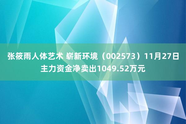 张筱雨人体艺术 崭新环境（002573）11月27日主力资金净卖出1049.52万元