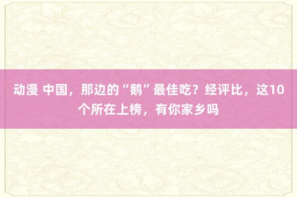 动漫 中国，那边的“鹅”最佳吃？经评比，这10个所在上榜，有你家乡吗