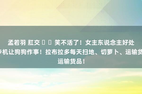 孟若羽 肛交 ▶️笑不活了！女主东说念主好处跑步机让狗狗作事！拉布拉多每天扫地、切萝卜、运输货品！