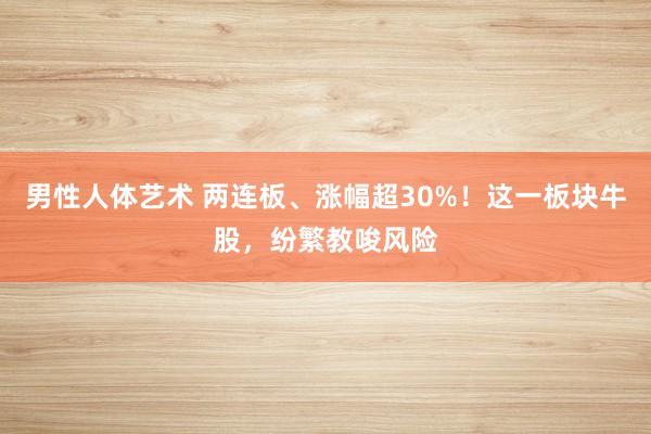 男性人体艺术 两连板、涨幅超30%！这一板块牛股，纷繁教唆风险