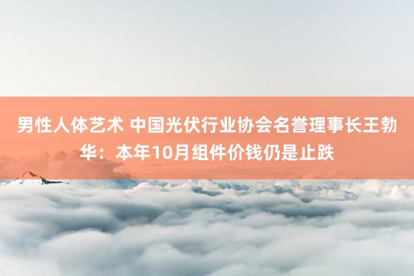 男性人体艺术 中国光伏行业协会名誉理事长王勃华：本年10月组件价钱仍是止跌