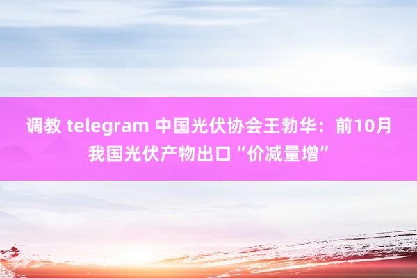 调教 telegram 中国光伏协会王勃华：前10月我国光伏产物出口“价减量增”