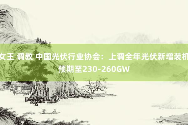 女王 调教 中国光伏行业协会：上调全年光伏新增装机预期至230-260GW