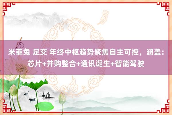 米菲兔 足交 年终中枢趋势聚焦自主可控，涵盖：芯片+并购整合+通讯诞生+智能驾驶