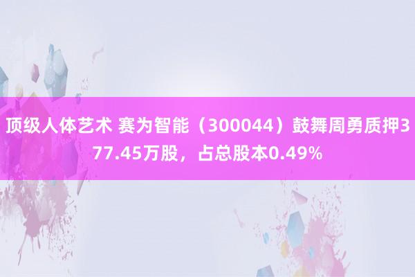 顶级人体艺术 赛为智能（300044）鼓舞周勇质押377.45万股，占总股本0.49%